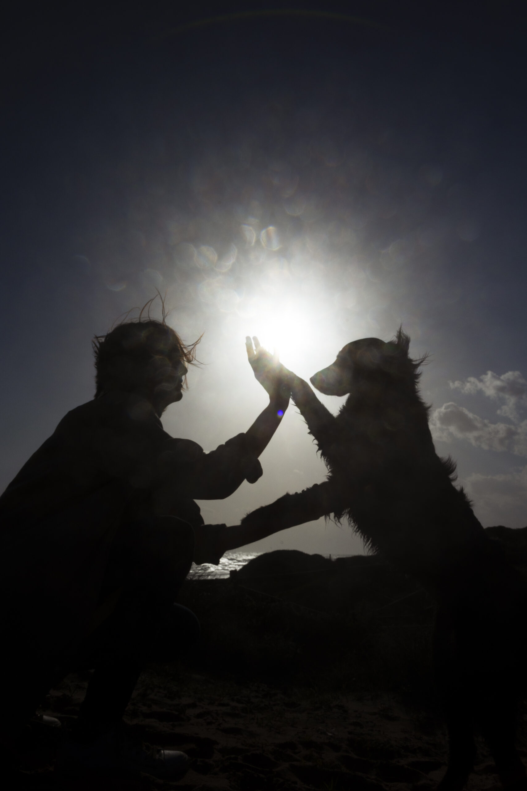 dog-trainer-interacting-with-their-pet Humano animal interactuando entre ellos